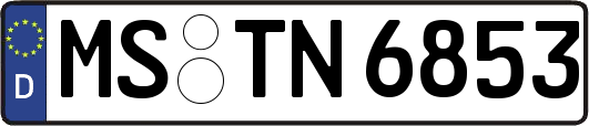 MS-TN6853