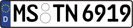 MS-TN6919