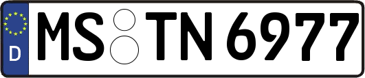 MS-TN6977