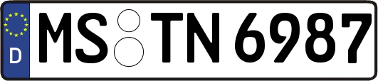 MS-TN6987