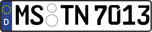 MS-TN7013