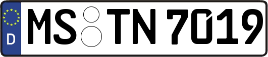 MS-TN7019