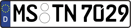 MS-TN7029