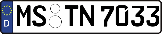 MS-TN7033
