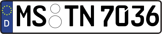 MS-TN7036