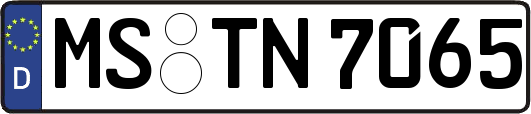 MS-TN7065