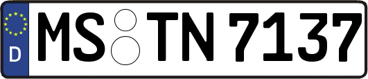 MS-TN7137