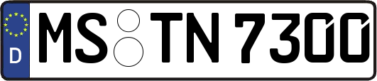 MS-TN7300