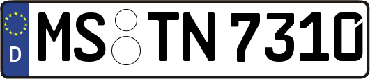 MS-TN7310