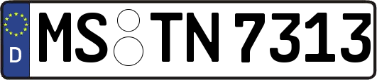 MS-TN7313