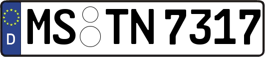 MS-TN7317