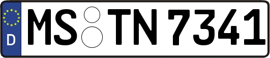 MS-TN7341