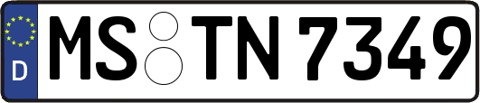 MS-TN7349