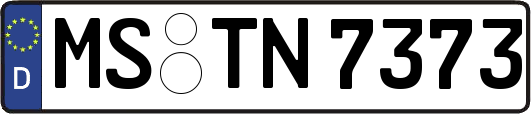 MS-TN7373