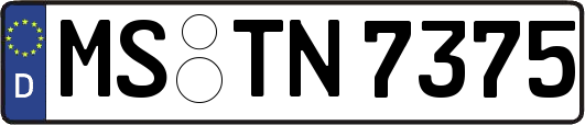 MS-TN7375