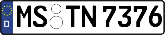 MS-TN7376