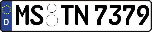 MS-TN7379