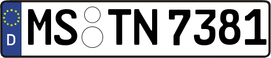 MS-TN7381