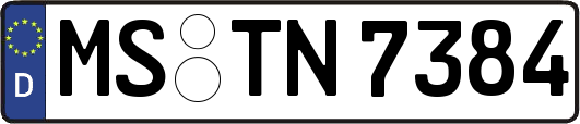 MS-TN7384