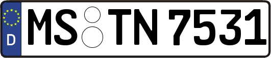 MS-TN7531