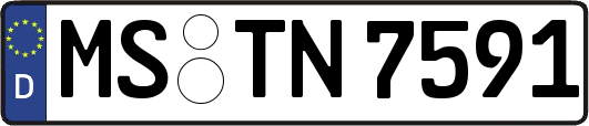 MS-TN7591