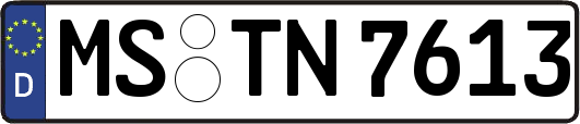 MS-TN7613