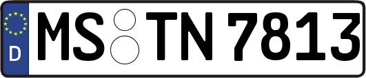 MS-TN7813
