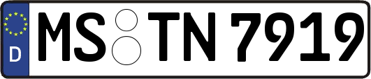 MS-TN7919