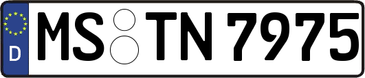 MS-TN7975
