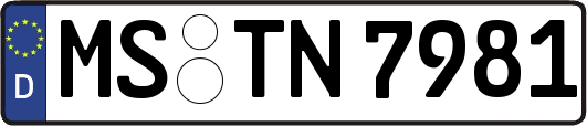 MS-TN7981
