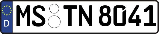 MS-TN8041