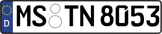 MS-TN8053