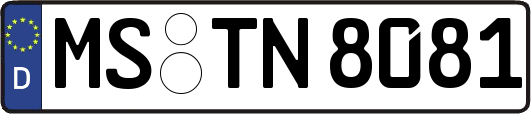 MS-TN8081