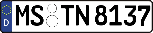 MS-TN8137