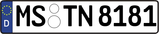 MS-TN8181