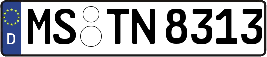 MS-TN8313