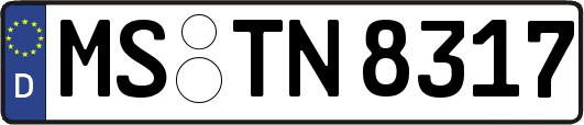 MS-TN8317