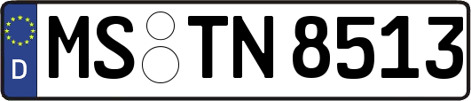 MS-TN8513
