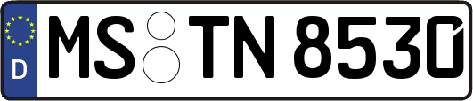 MS-TN8530