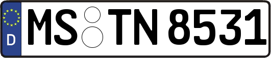 MS-TN8531