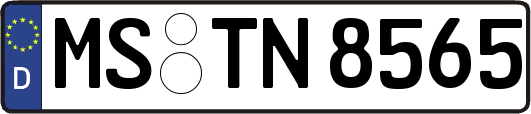 MS-TN8565