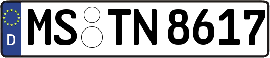 MS-TN8617