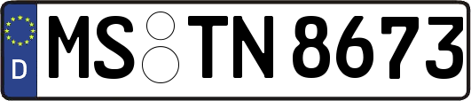 MS-TN8673