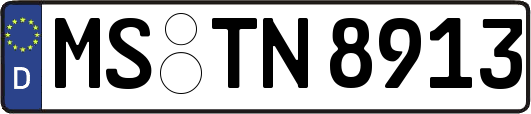 MS-TN8913