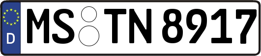 MS-TN8917