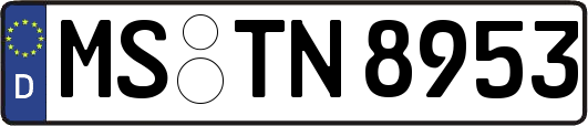 MS-TN8953