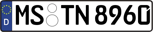 MS-TN8960