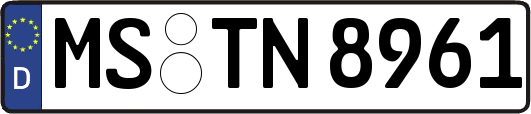 MS-TN8961