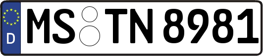 MS-TN8981