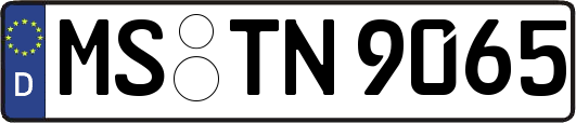 MS-TN9065